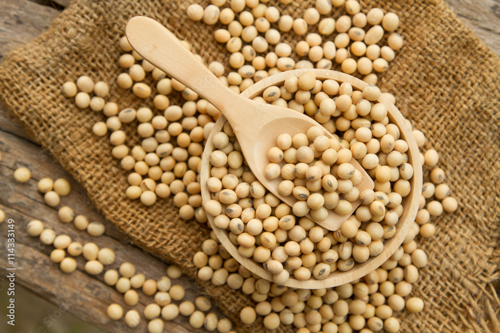 Obraz premium Whole grain soybeans in wooden bowl and spoon on linen sack, rustic and organic crop product concept.