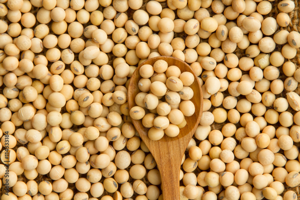 Soybeans on wooden spoon, top view Soybeans on wooden spoon, top view