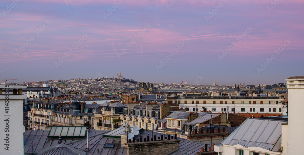 Looking over the rooftops of Paris