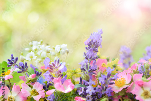 Fototapeta Naklejka Na Ścianę i Meble -  lavender and wild rose
