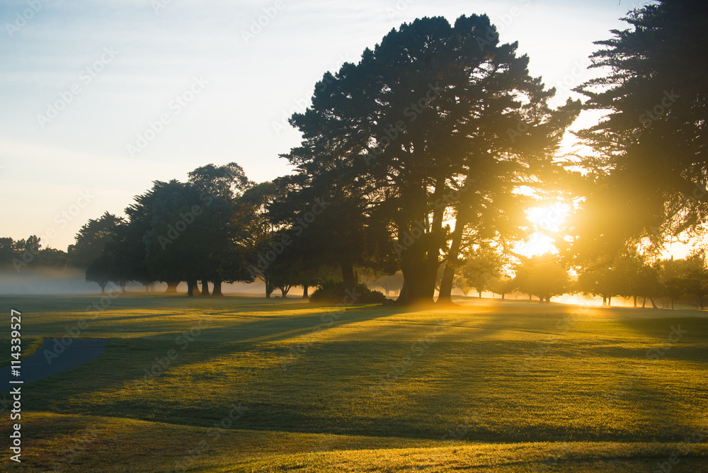 Obraz premium Golf course at dawn backlit by rising sun..