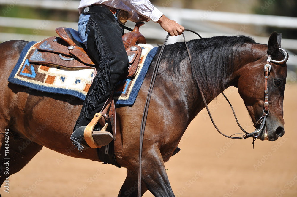 Leather chaps horse sale
