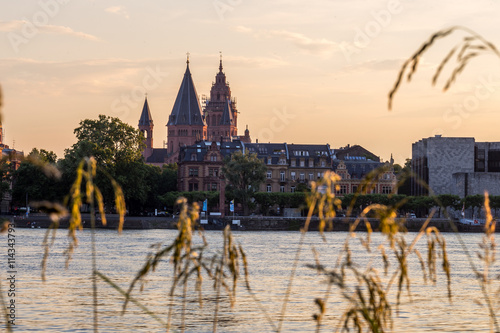 Der Mainzer Dom am Rhein
