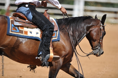 The side view of the rider in leather chaps sliding his horse forward and raising up the clouds of dust