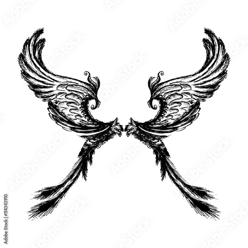 Wings isolated on white background hand drawing.