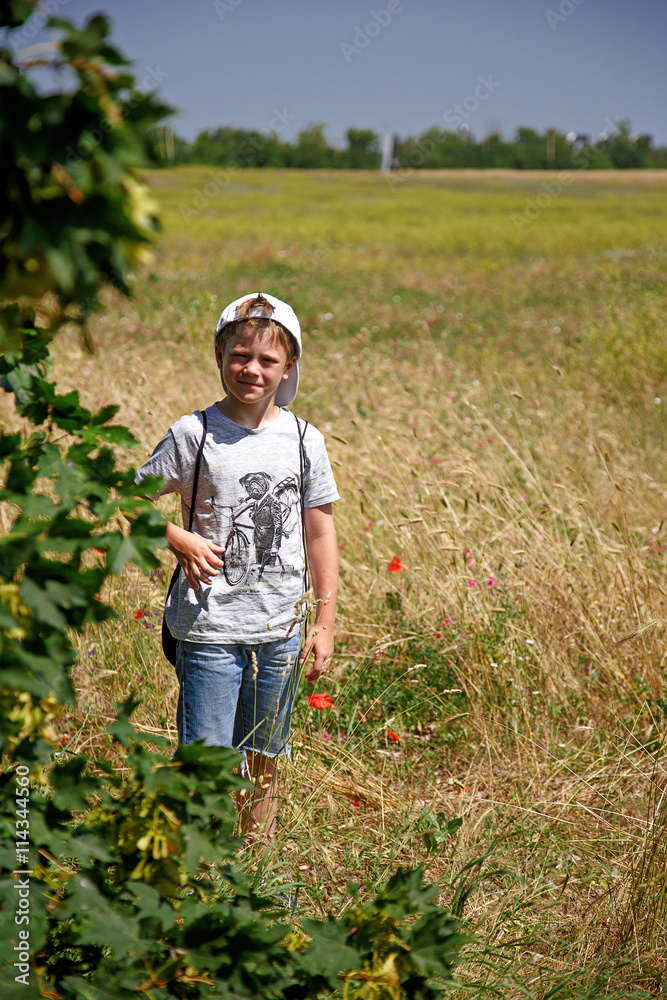 Boy walking in a beautiful flower-filled field Boy walking in a beautiful flower-filled field