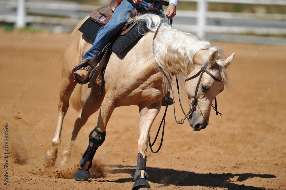 The front view of the rider in leather chaps sliding his horse forward and raising up the clouds of dust The front view of the rider in leather chaps sliding his horse forward and raising up the clouds of dust