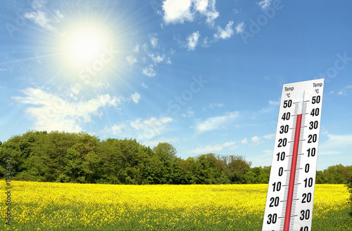 Hitze am Feld bei 40 grad Temperatur am Thermometer, Sonne, Klimawandel 