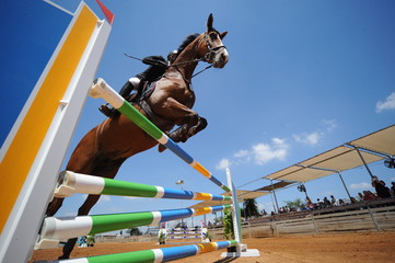 Sierkussen Paardrijden Springpaard neemt hindernis van onderaf  © PROMA