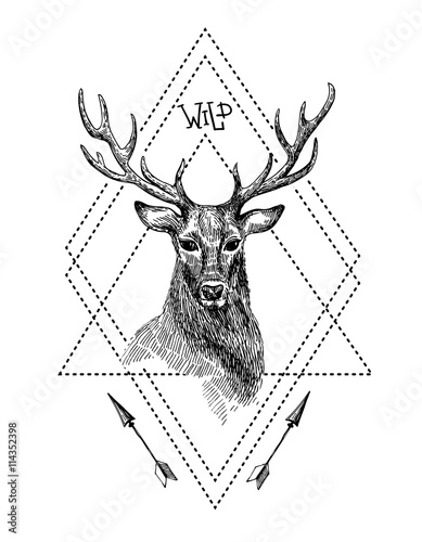 Black and white isolated deer.