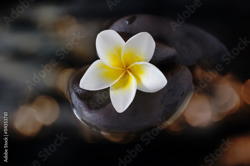 Charm and harmonious white flower plumeria or frangipani on pebble and water in gold bokeh