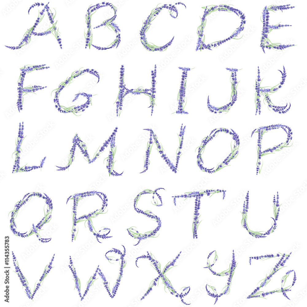 English alphabet of watercolor lavender flowers, isolated hand drawn on a white background, wedding design, english capital letters for the festive and wedding decor and cards English alphabet of watercolor lavender flowers, isolated hand drawn on a white background, wedding design, english capital letters for the festive and wedding decor and cards