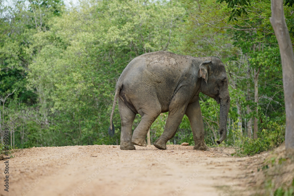 1000_F_114355943_Yg8J7cZ3CFc2g