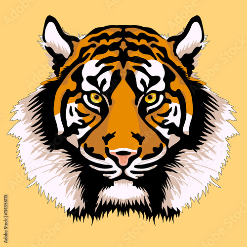 Fototapeta Naklejka Na Ścianę i Meble -  adult tiger head face realistic 
