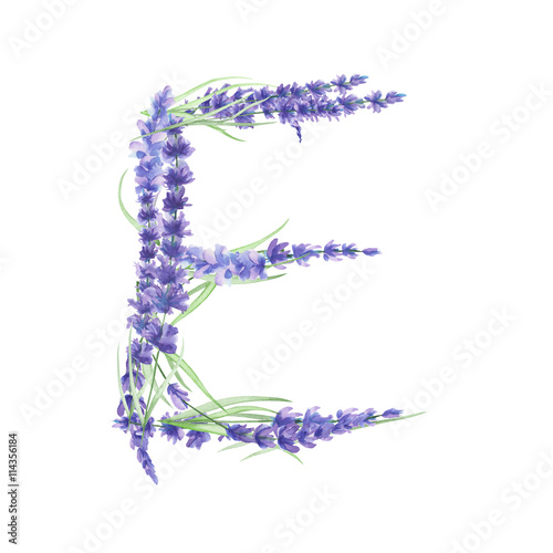 Fototapeta Naklejka Na Ścianę i Meble -  Capital letter E of watercolor lavender flowers, isolated hand drawn on a white background, wedding design, english alphabet for the festive and wedding decor and cards