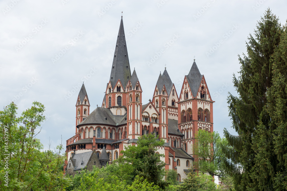 Fototapeta premium Limburger Dom in Limburg an der Lahn
