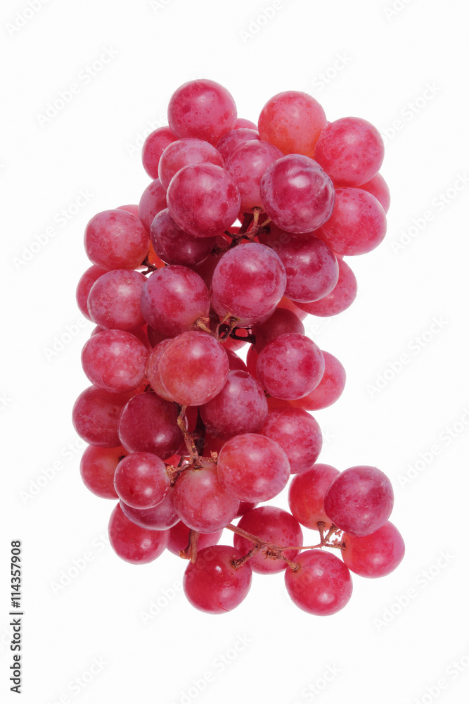Weintrauben Traube Obst Nachspeise gesunde Ernährung rot violett