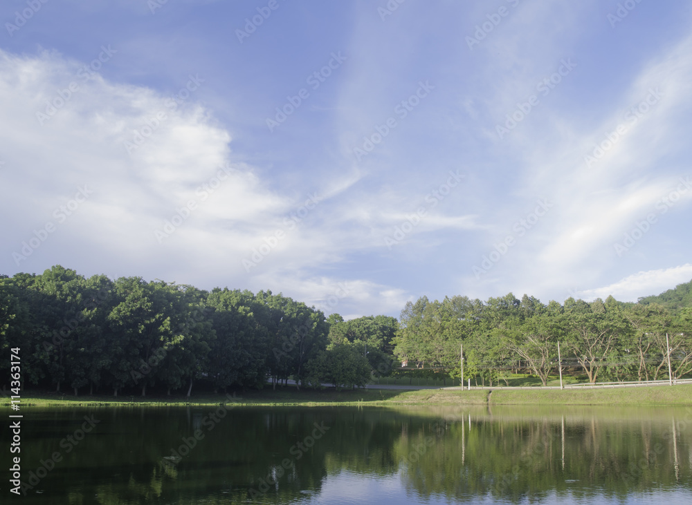 beautiful summer landscape,river and tree