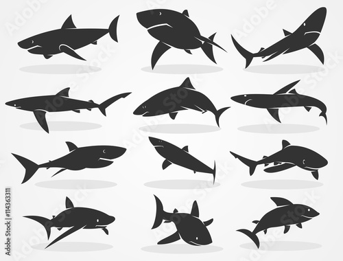 Set of silhouettes of sharks isolated on a black background