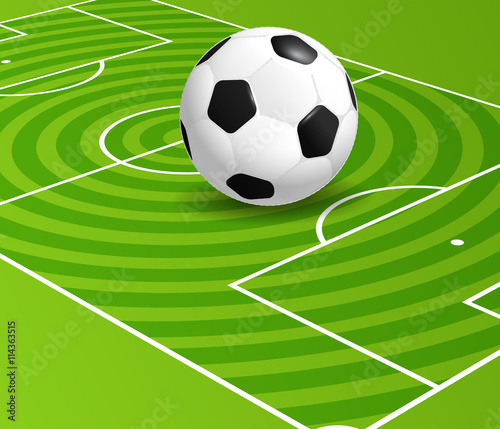 Soccer championship vector illustration