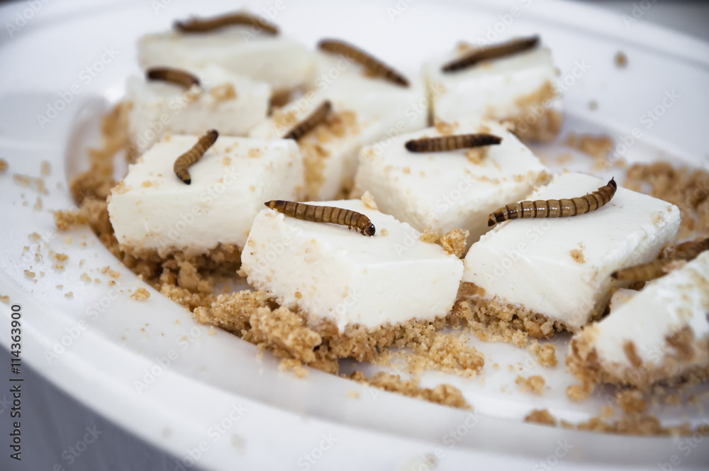 lemon cheesecake bites with roasted mealworms lemon cheesecake bites with roasted mealworms