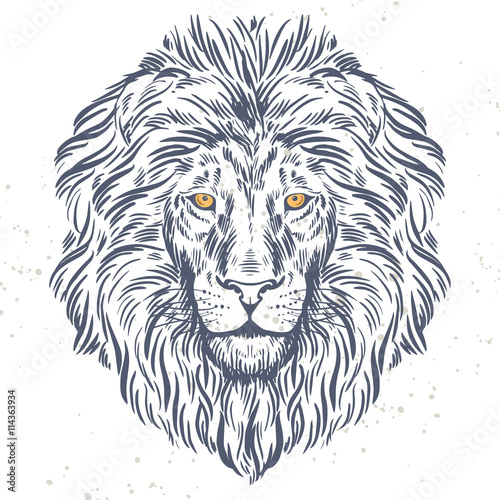 Fototapeta Naklejka Na Ścianę i Meble -  Hand drawn lion head illustration
