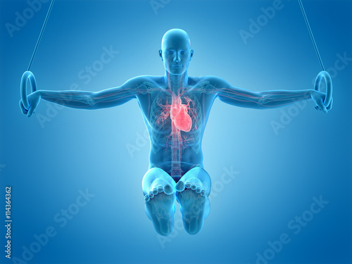 medically accurate 3d illustration of a human athlete