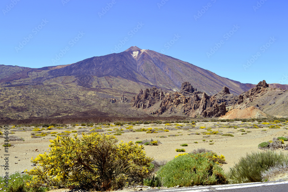 Mount Teide National Park in Tenerife