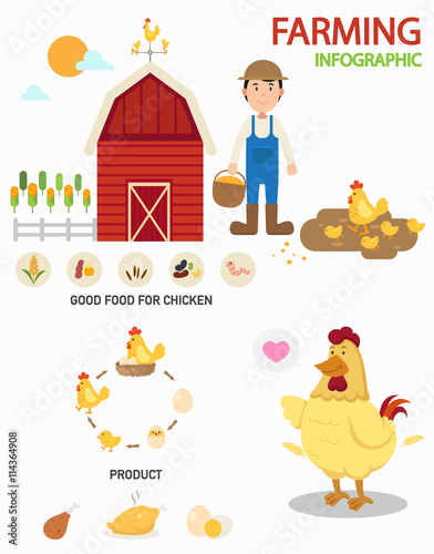 Chicken farm infographics,illustration