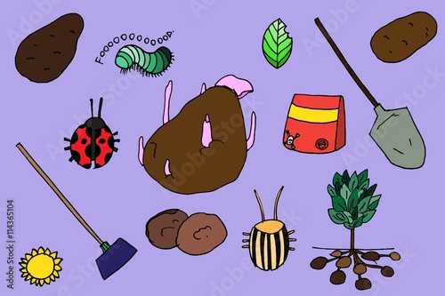 Potato growing set