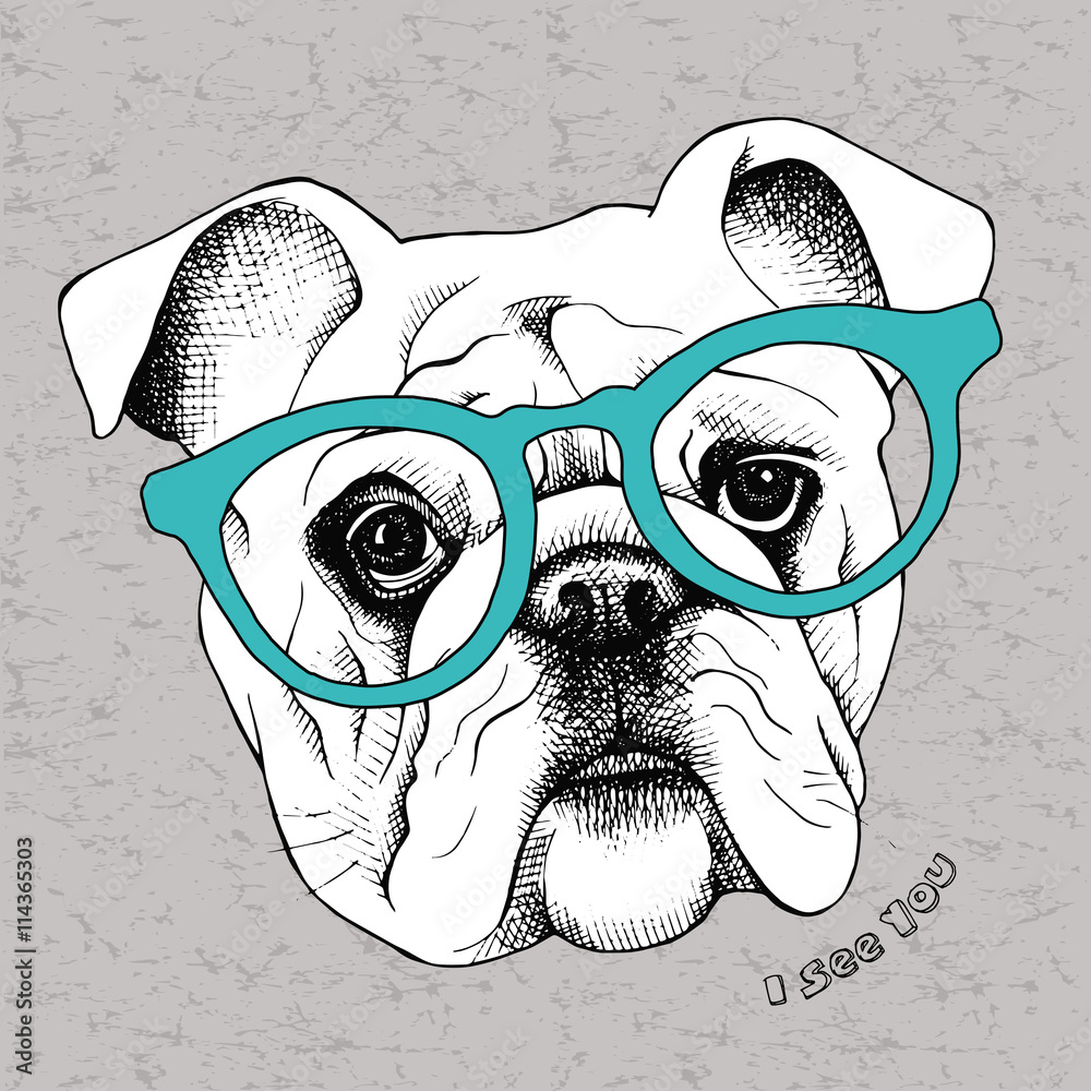 Image the portrait of a bulldog in the glasses. Vector illustration ...