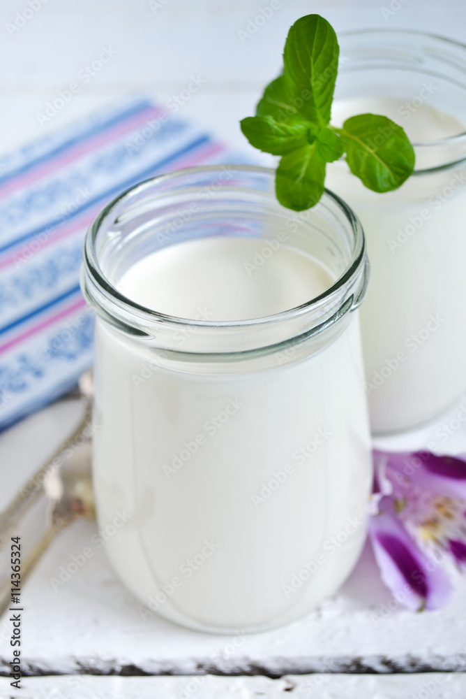 Homemade fermented yogurt on a white background with space for t Homemade fermented yogurt on a white background with space for t
