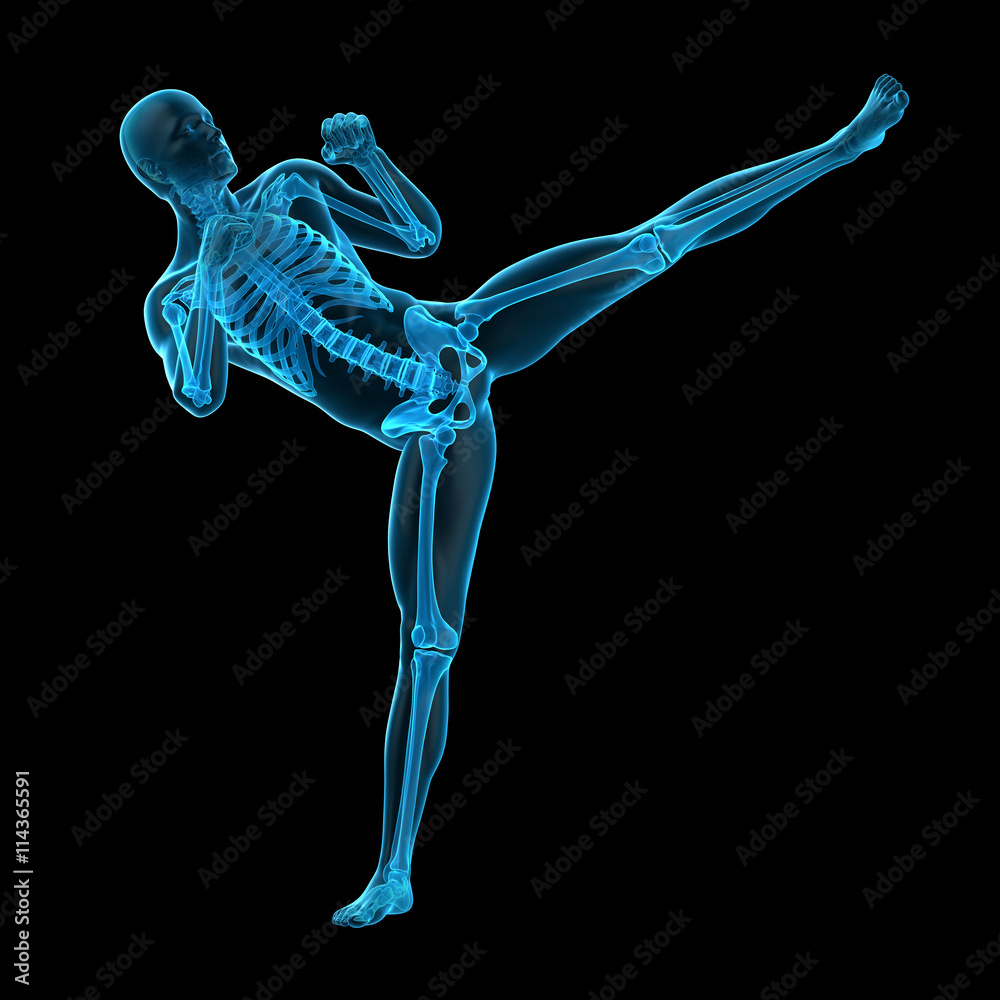 medically accurate 3d illustration of a kick boxing pose medically accurate 3d illustration of a kick boxing pose