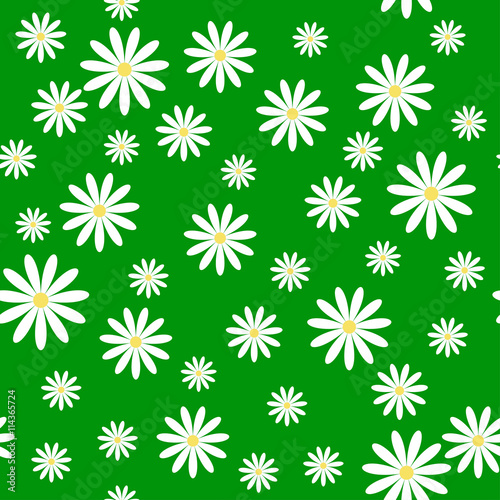 seamless pattern with daisies on a green background