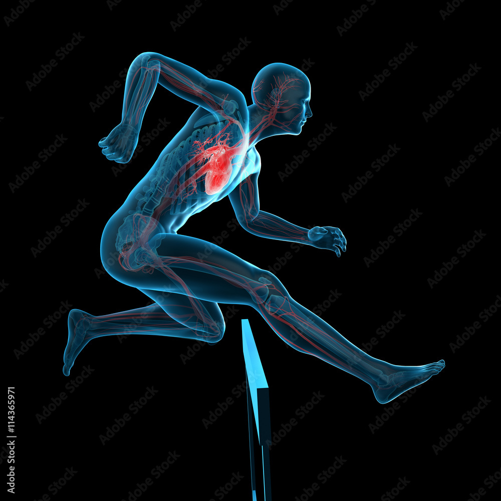 medically accurate 3d illustration of a runner pose