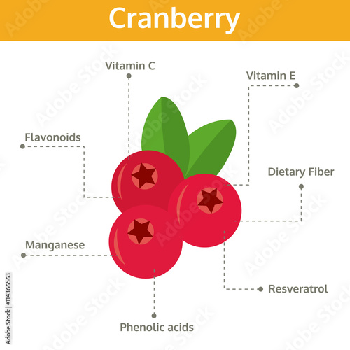 cranberry nutrient of facts and health benefits, info graphic