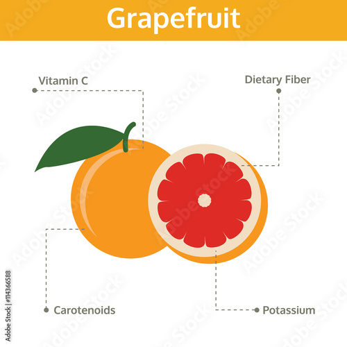grapefruit nutrient of facts and health benefits, info graphic