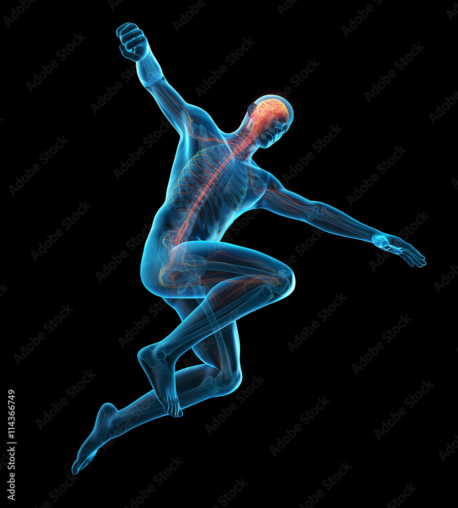 medically accurate 3d illustration of a sportsman pose medically accurate 3d illustration of a sportsman pose
