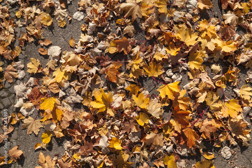 Hintergrund Herbstblätter