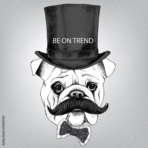 The image Bulldog portrait with mustache and in the bowler hat, with a bow. Vector illustration.