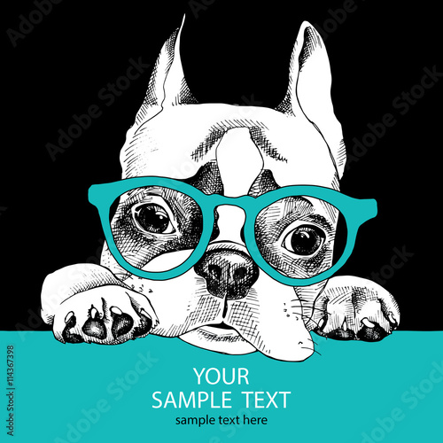 The poster of portrait bulldog with glasses. Vector illustration.