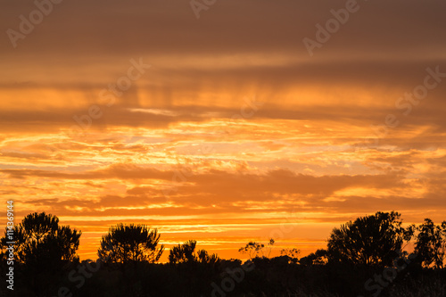 Golden rays in a cloudy sky at sunset in Ayamonte  Andalucia  Spain. Trees can be seen silhouetted in the foreground.
