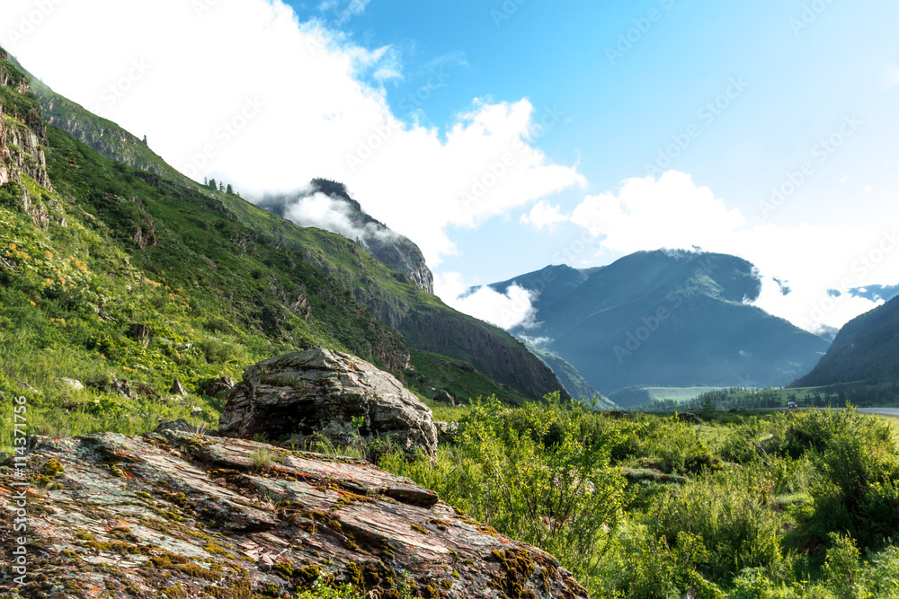 Altai Mountain in summer Altai Mountain in summer