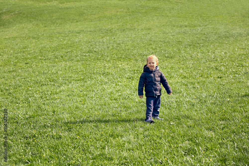 Portrait of a happy little boy in the meadow