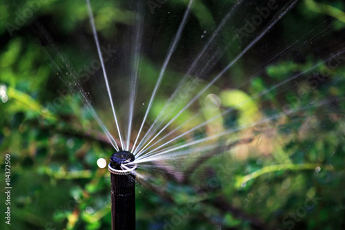Rain. Droplets of the sprinkler. Selective soft focus. Blurred background with bokeh