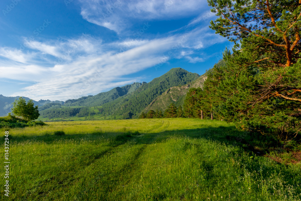 Altai Mountain in summer Altai Mountain in summer