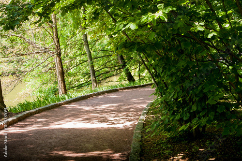 walking path in the park