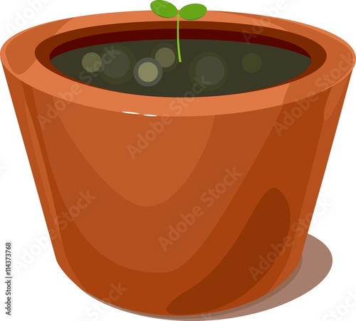 seedling in flowerpots