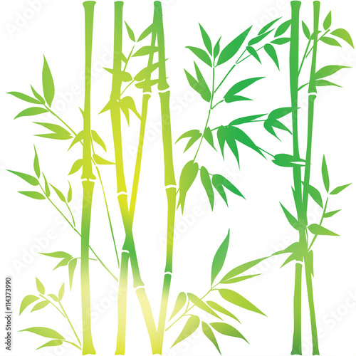 Decorative bamboo branches. Bamboo forest background. Seamless background.