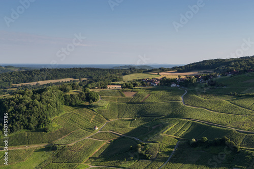 Vignoble Jurassien photo